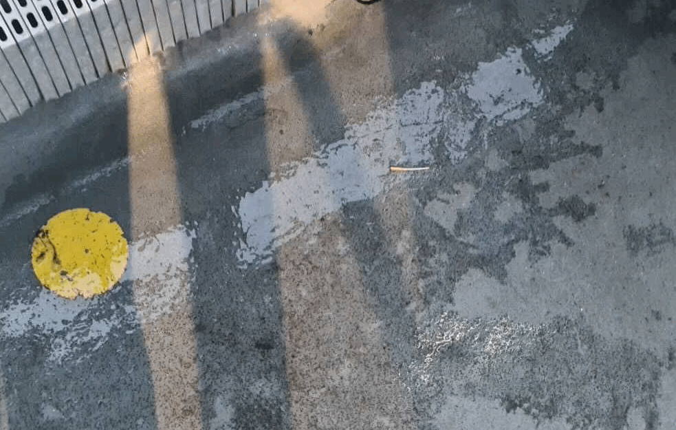 Foto: Glas javnosti