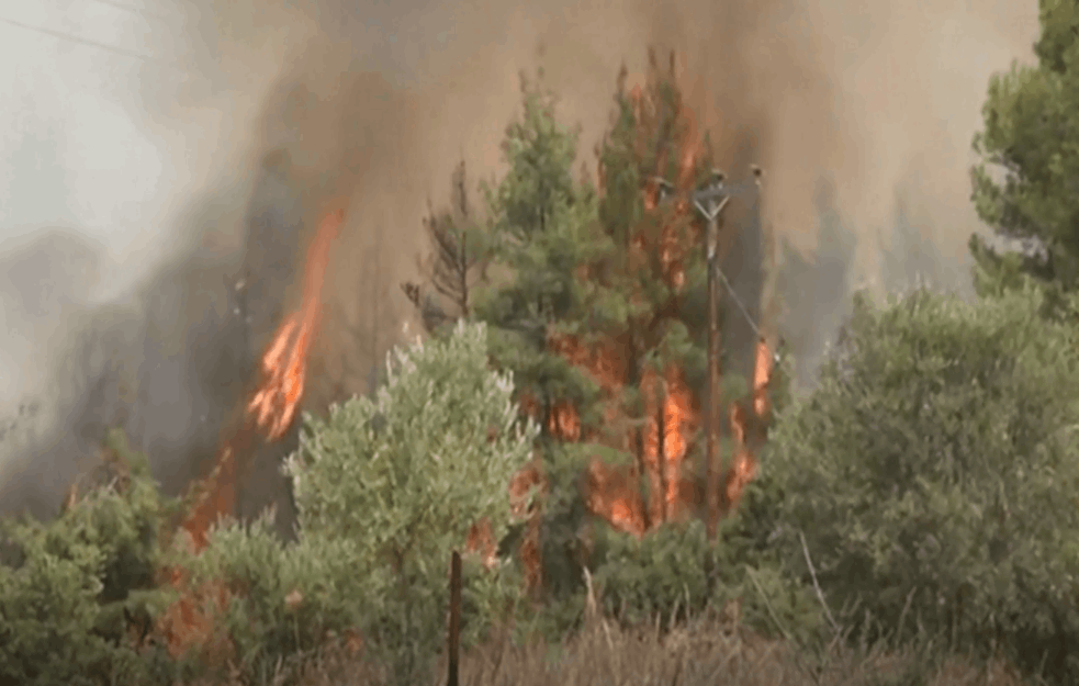 NOVI POŽAR NA EVIJI: Vatrogasci se bore, a stigla je i pomoć sa NEBA! (FOTO+VIDEO)