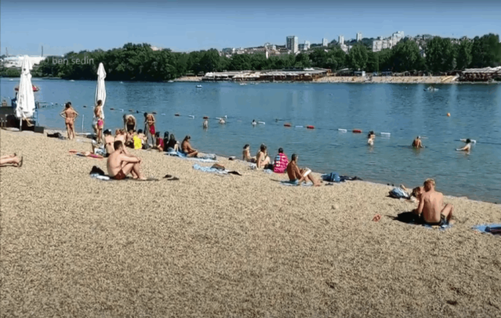 ADU CIGANLIJU PREPLAVILE MEDUZE: Ako je ugledate u vodi OBAVEZNO URADITE ovu stvar!

