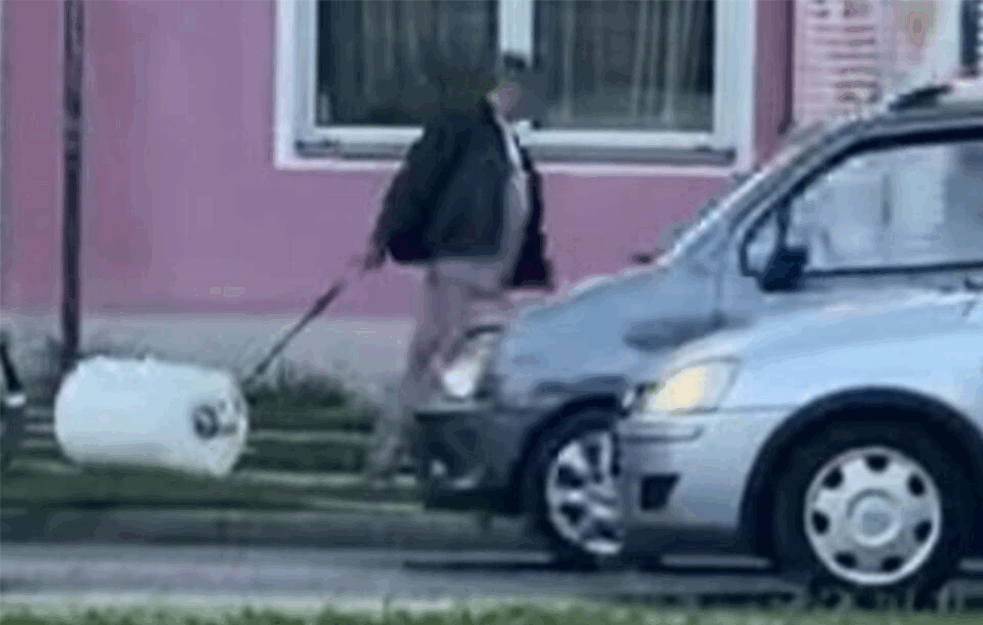 LJUDI, OVO JE ŠOU! Izveo bojler u šetnju, TU JE I <span style='color:red;'><b>POVODAC</b></span>, mreže usijane! Jel` ga vodi kod veterinara zbog kamenca? (VIDEO)