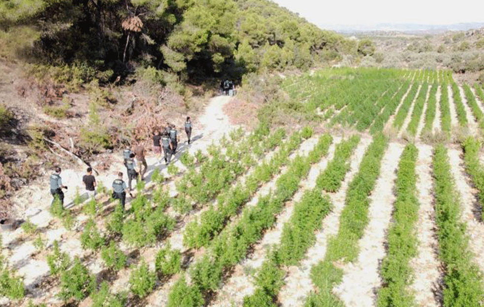 Foto: Guardia Civil