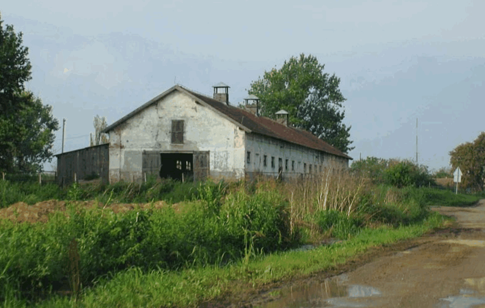 SRBIJA ISPLATILA PRVE ODŠTETE PORODICAMA UBIJENIH U VUKOVARU: 6.670 evra po članu porodice! 
