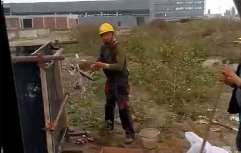 KINESKI RADNICI DRALI MAČKU U FABRICI LINGLONG?! Oglasili se iz kompanije: Nije mačka,a nisu ni naši zaposleni! (VIDEO)