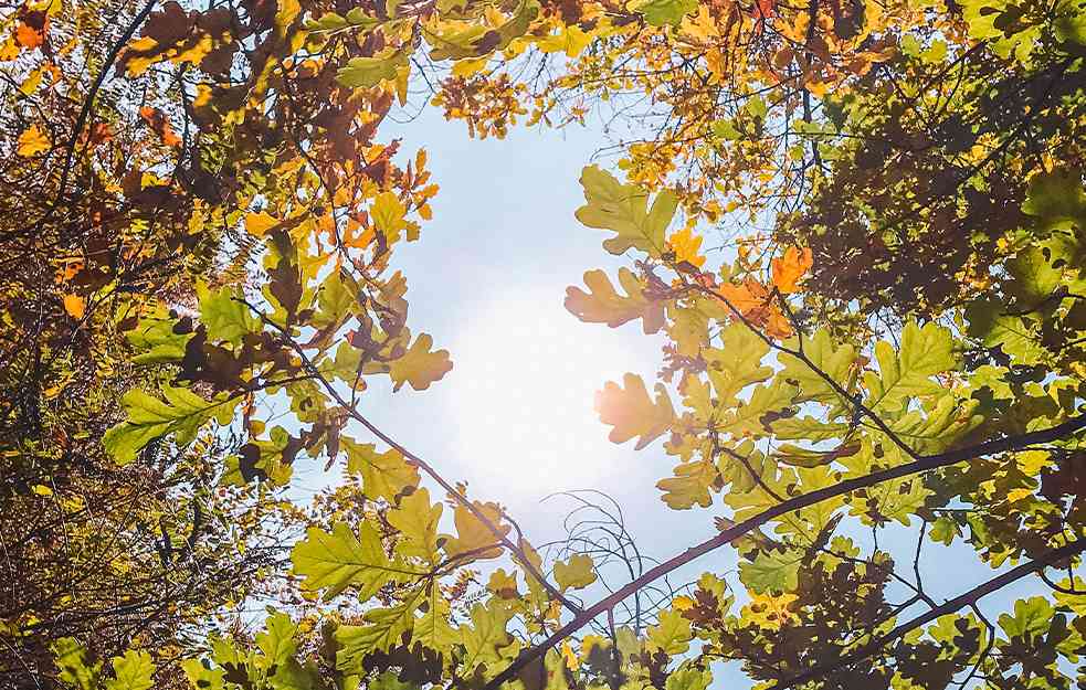 KONAČNO SUNCE: Temperature u porastu pa ŽIVA SKAČE i preko 20 STEPENI!