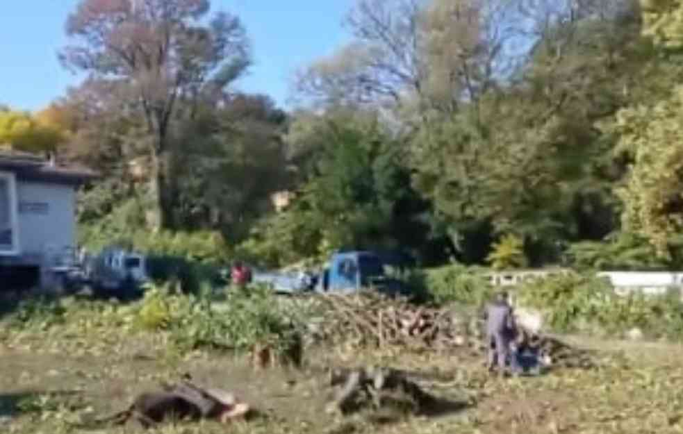 U BEOGRADU POSEČENA PARCELA ZDRAVOG DRVEĆA! Građani BESNI zbog ovakvog postupka: Samo će pustinja da ostane! (VIDEO) 

