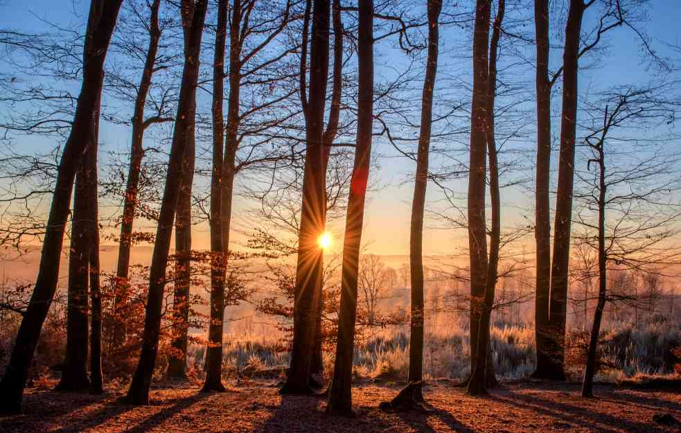 DANAS TOPAO I SUNČAN DAN: Temperatura od jutarnjeg minusa do 19 stepeni