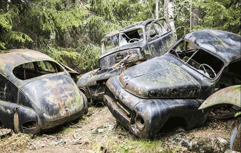 BELGIJA: Šuma prepuna starih automobila