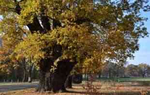 DUVAĆE <span style='color:red;'><b>JAK VETAR</b></span>! Smenjivaće se sunce i oblaci
