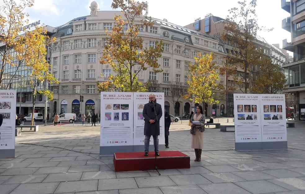 TRG STRASTI! Romantične i ljubavne veze Mađara i Srba (FOTO)