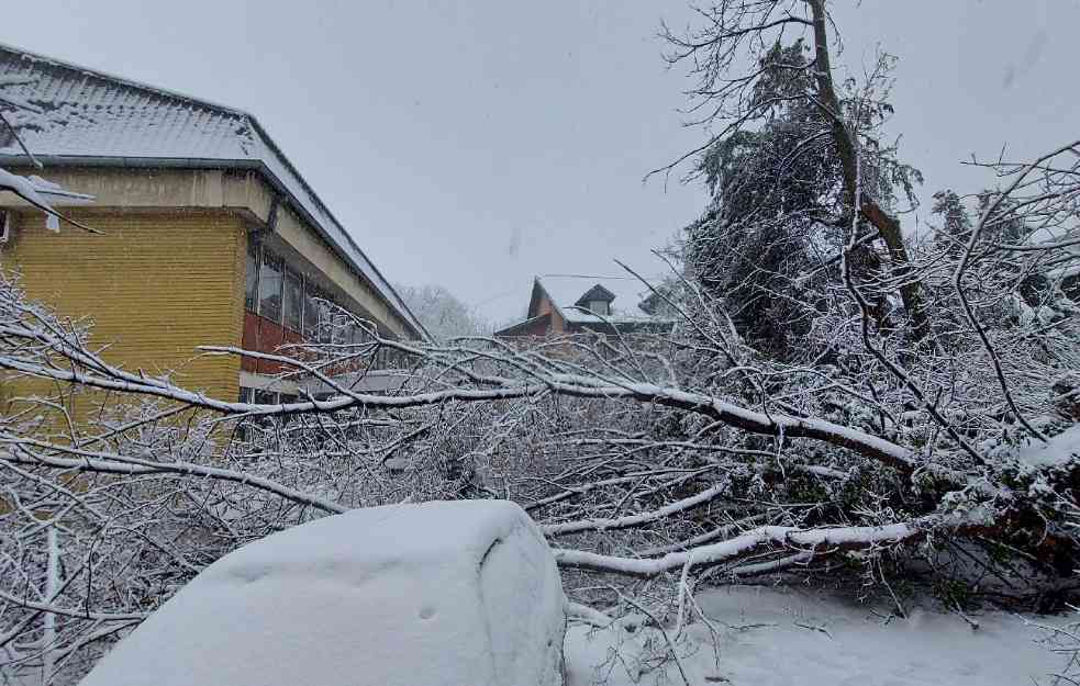 GDE SU TI PUTARI?! Beograd zarobljen, drveće padalo na kola, ceo Obrenovac BEZ GREJANJA  (FOTO, VIDEO)