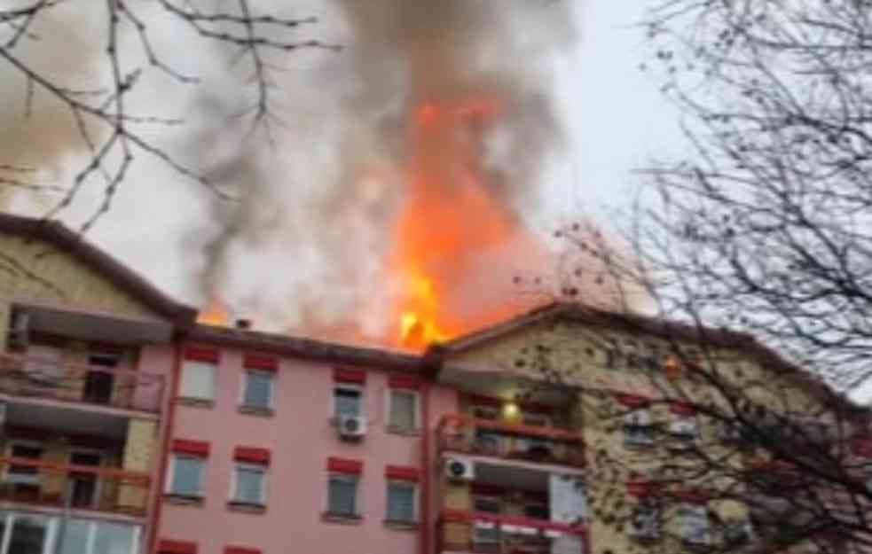 VELIKI POŽAR U NOVOM SADU: Gori krov stambene zgrade, vatrogasci na terenu (VIDEO)