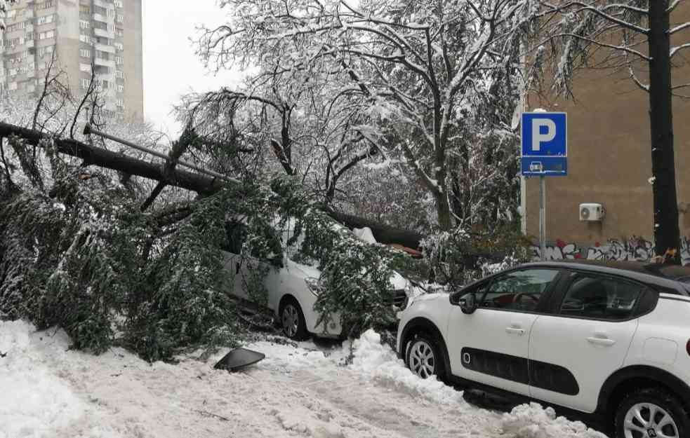 KUDA ODNOSE DRVEĆE KOJE JE POPADALO OD SNEGOLOMA? Odšteta samo je u nadležnosti 