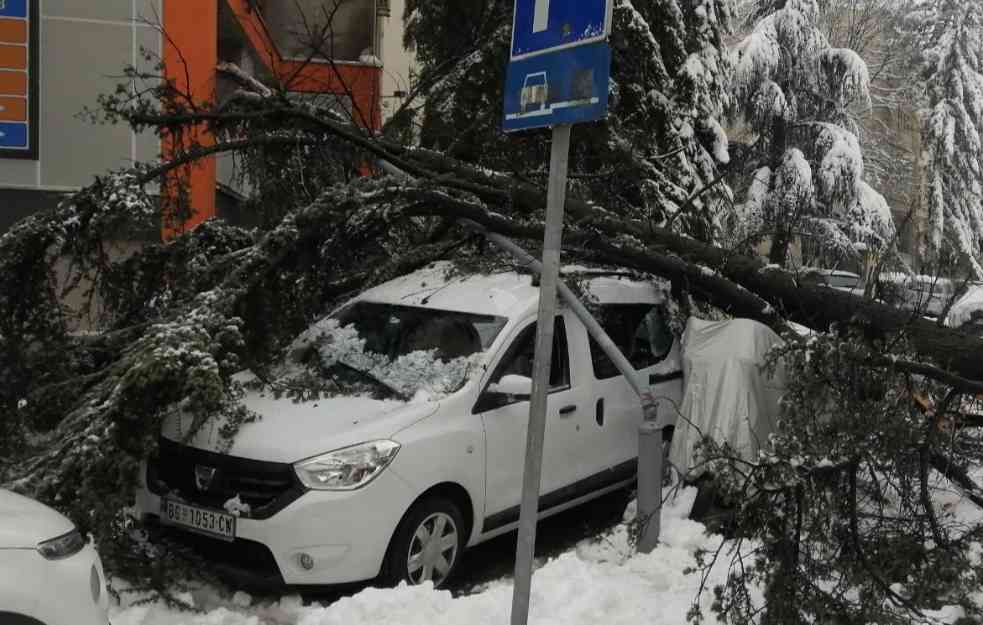 OBJAVLJENA PROGNOZA ZA CELU ZIMU: Slede LEDENI DANI, evo kad će pasti NAJVIŠE SNEGA (FOTO)