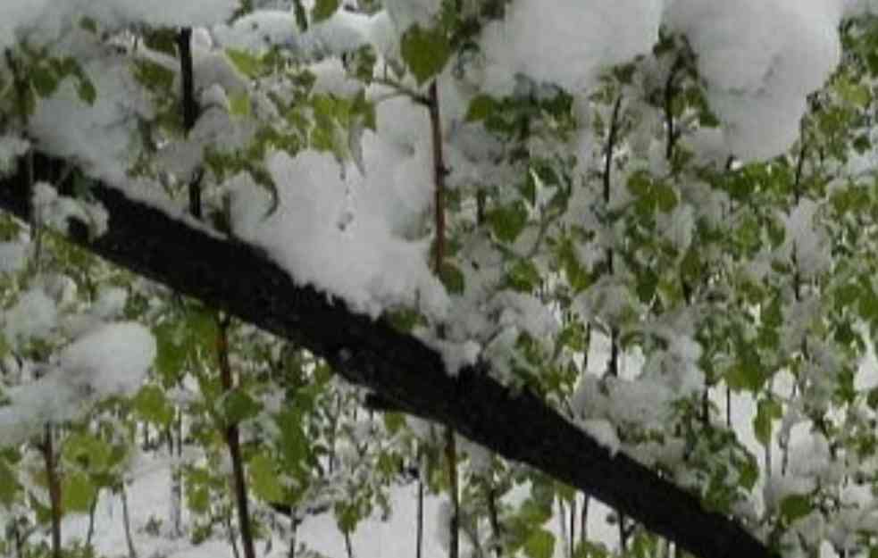 SNEG I NESTANAK STRUJE U ISTO VREME! Cena maline biće tri puta veća