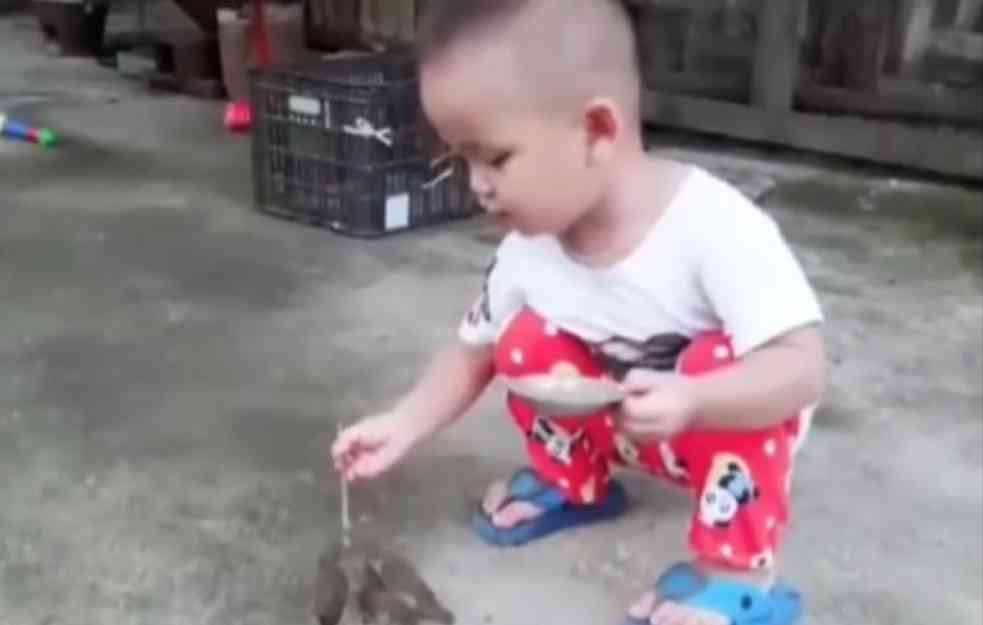 LJUBAV I PLEMENITOST ISPRED SVEGA! Od ovog dečaka bi odrasli mogli MNOGO DA NAUČE (VIDEO) 