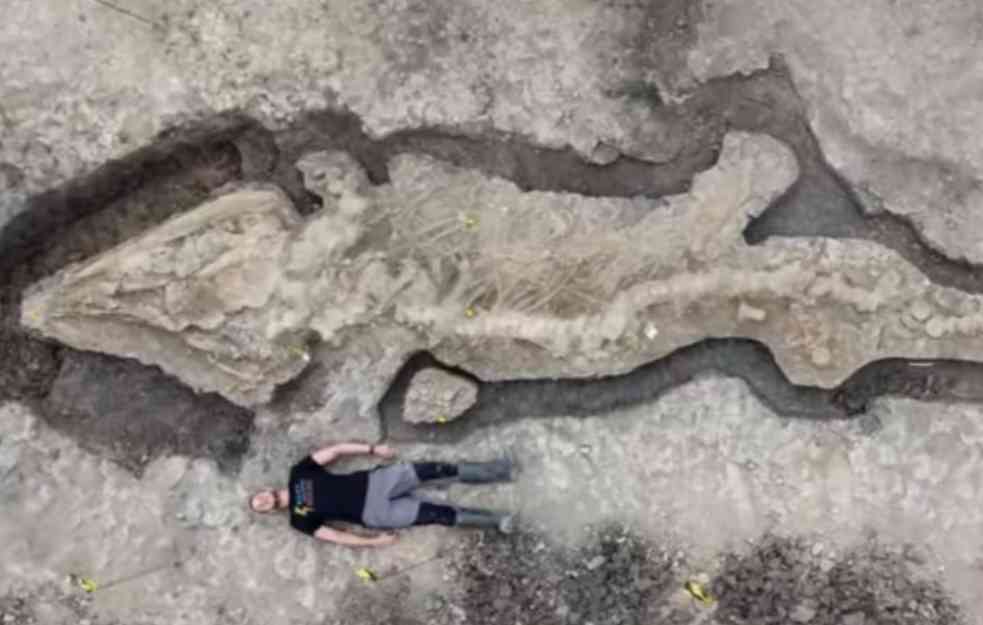 NEVEROVATNO OTKRIĆE! Pronađen fosil „morskog zmaja“ star 180 miliona godina i dugačak 10 metara (VIDEO) 