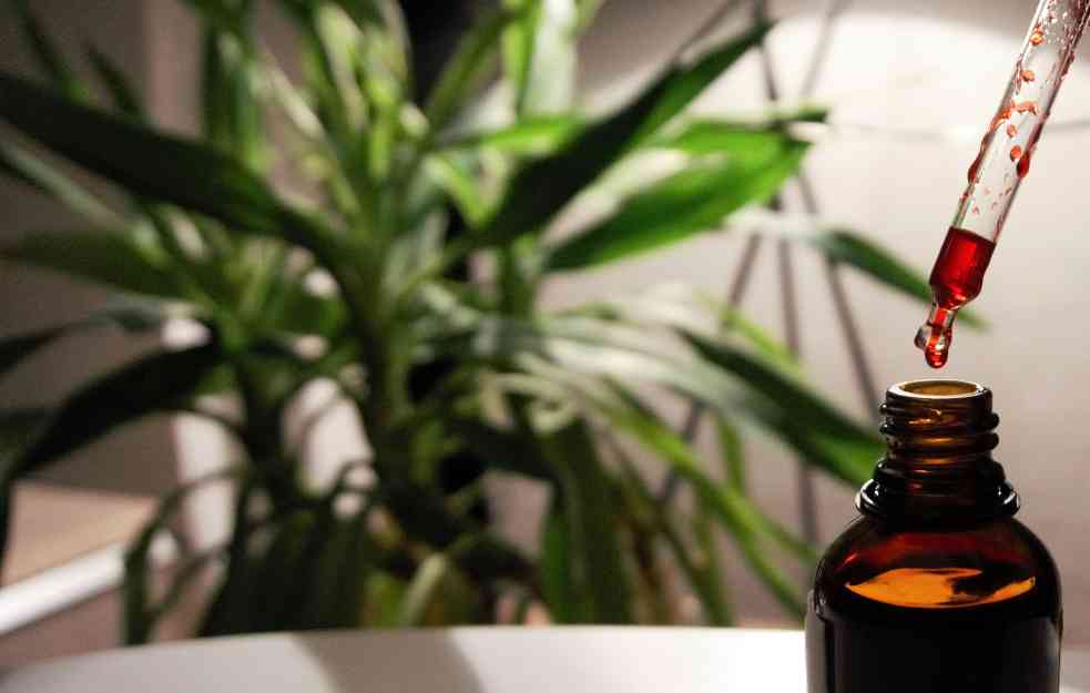 Bez VITAMINA B12 nema ni CRVENIH KRVNIH ZRNACA: Ovo su simptomi ako manjka u vašem organizmu