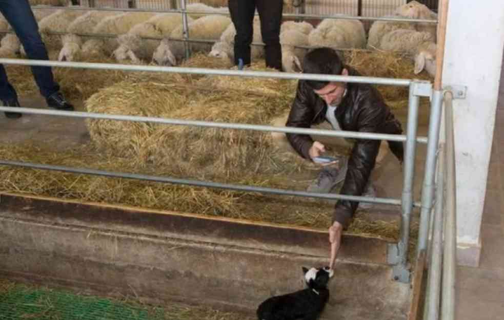 PREDIVNE NOVAKOVE FOTOGRAFIJE: Družio se sa domaćim životinjama, držao jagnje u naručju (FOTO)