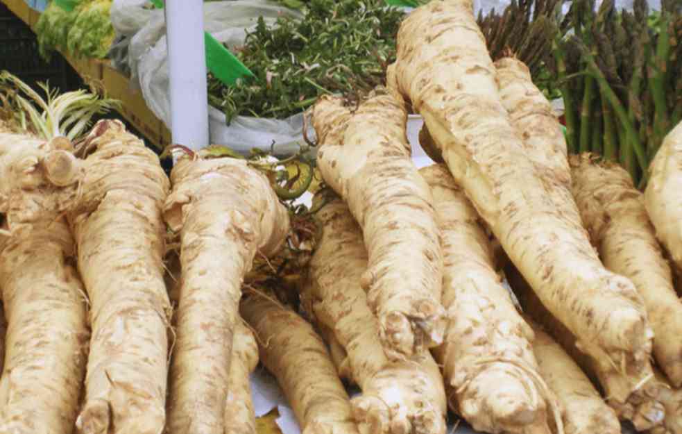 Lekovitost RENA graniči se sa zdrastvenim efektima belom luku