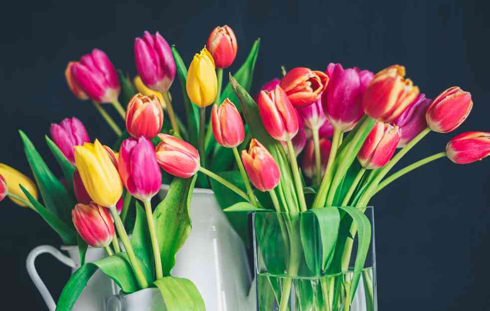 LJUBITELJI CVEĆA : Kako da vam cveće ostane sveže desetak dana 