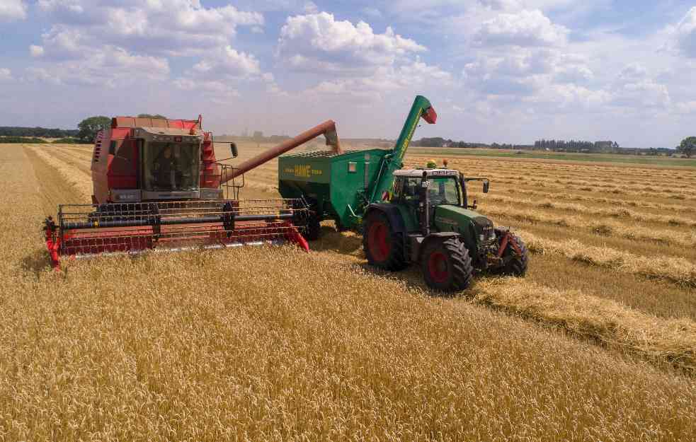 NADLEŽNI PORUČILI: Moramo da brinemo i o susedima, biće dovoljno pšenice za sve