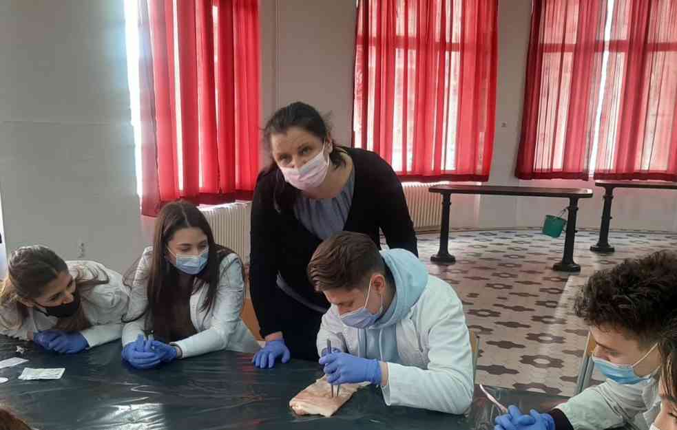 KURS HIRURŠKOG ŠIVENJA NA MEDICINSKOM FAKULTETU: Studenti usavršavaju tehnike na svinjskoj koži (FOTO)