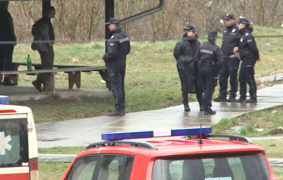 UŽAS KOD ALEKSINCA: Mrtav muškarac imao ujede svinje po sebi