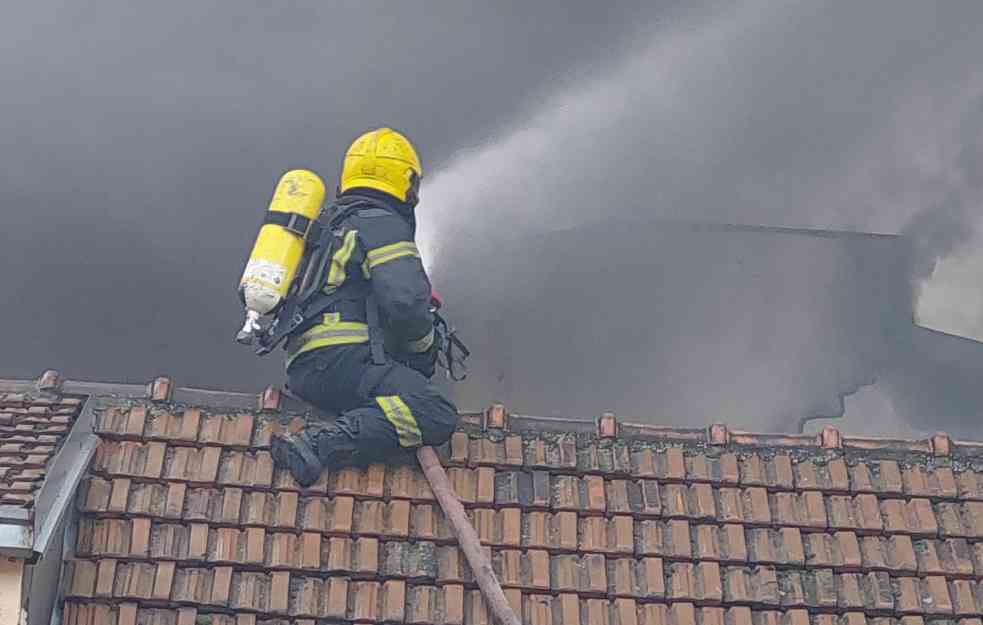 DETALJI POŽARA NA MIRIJEVU: Nepokretnoj starici nije bilo spasa, pas nekako uspeo da pobegne