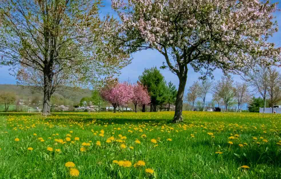 Sunčano i toplo, ponegde i 24 stepena, kiša tek od ponedeljka