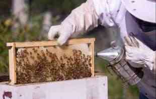 Pčelari imaju rok do kraja aprila da urade jako važnu stvar