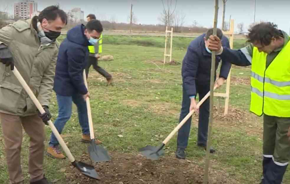 NOVIH 35.000 SADNICA: U akciji "Posadi svoj hlad" učestvuje i Leskovac