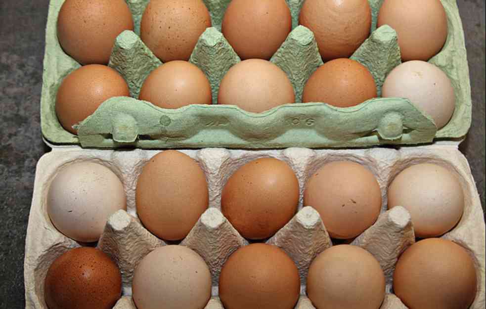 Nov izvoz Srbije, počeo izvoz jaja u Albaniju