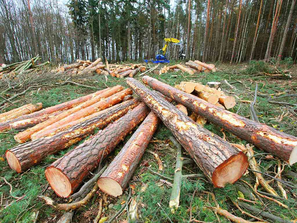 Lista proizvoda od drveta čiji je izvoz zabranjen narednih <span style='color:red;'><b>60 dana</b></span>