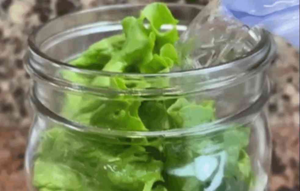 Trik: Kako da vam zelena salata ostane sveža (VIDEO)