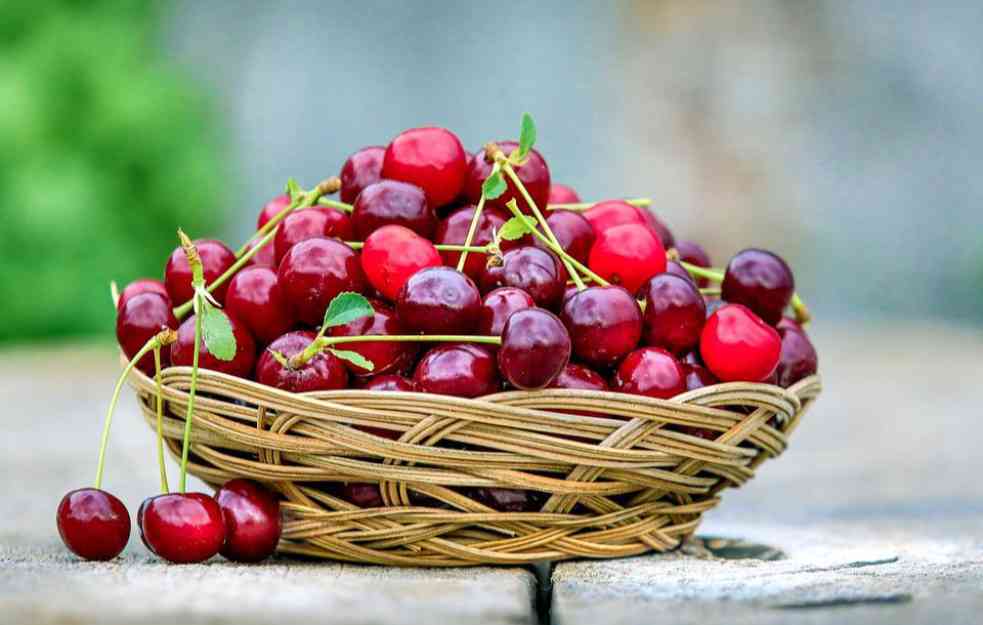 KOLAČ SA TREŠNJAMA KOJI SE TOPI : Domaći recept koji OBARA S NOGU