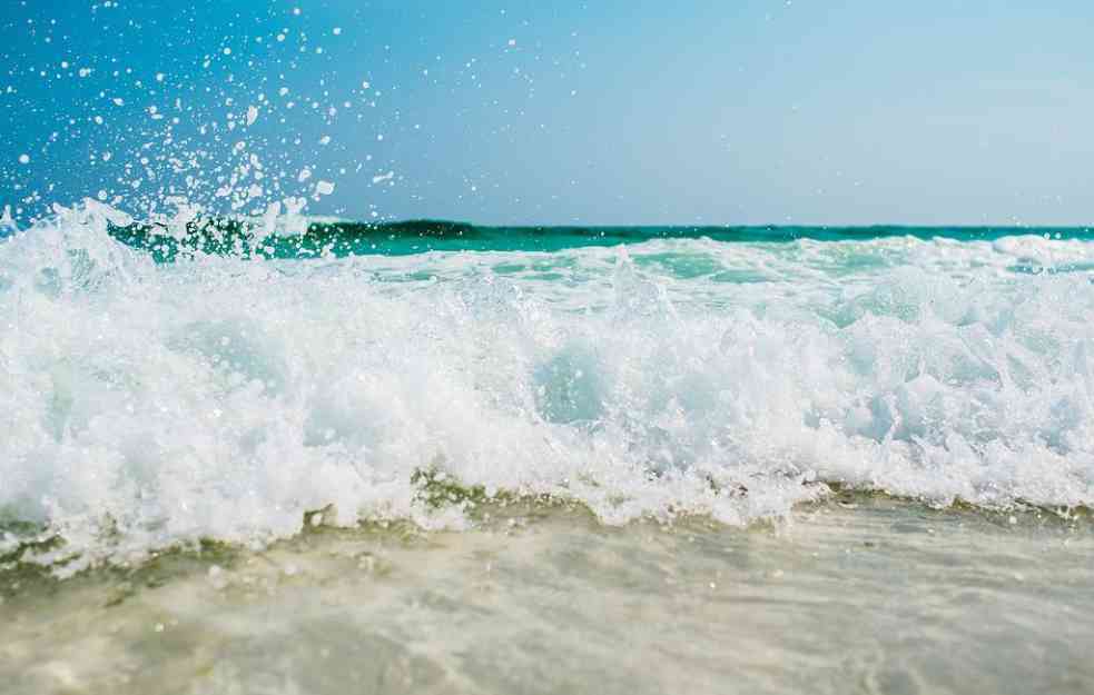 VIDI SE ČAK I IZ SVEMIRA: Velika količina morske trave preti obalama Floride i Meksika