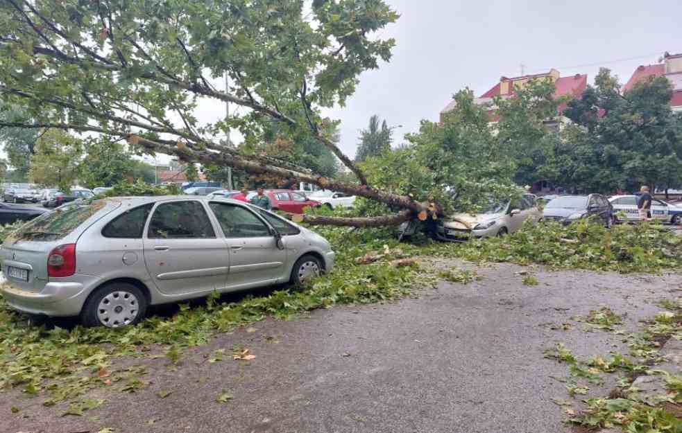 NOVI SAD NADRLJAO NOĆAS: Jaka kiša poplavila brojne ulice, nevreme obaralo drveće (VIDEO)