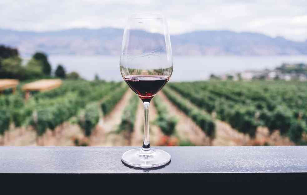 NOVA PRAVILA U PRODAJI VINA: Vino na čašu u Francuskoj od sada sa obaveznim "pedigreom"