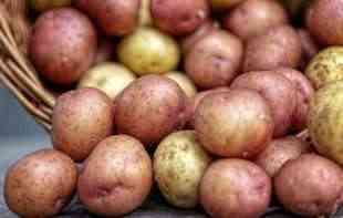 PROIZVOĐAČE BRINE SUŠA: Čuvenog ivanjičkog krompira sve manje, proizvodnja skupa i zahtevna