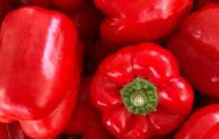 Jedna paprika je težine od 300 grama; Ovo je čudo čak i za domaćina Jovana koji je posadio papriku 