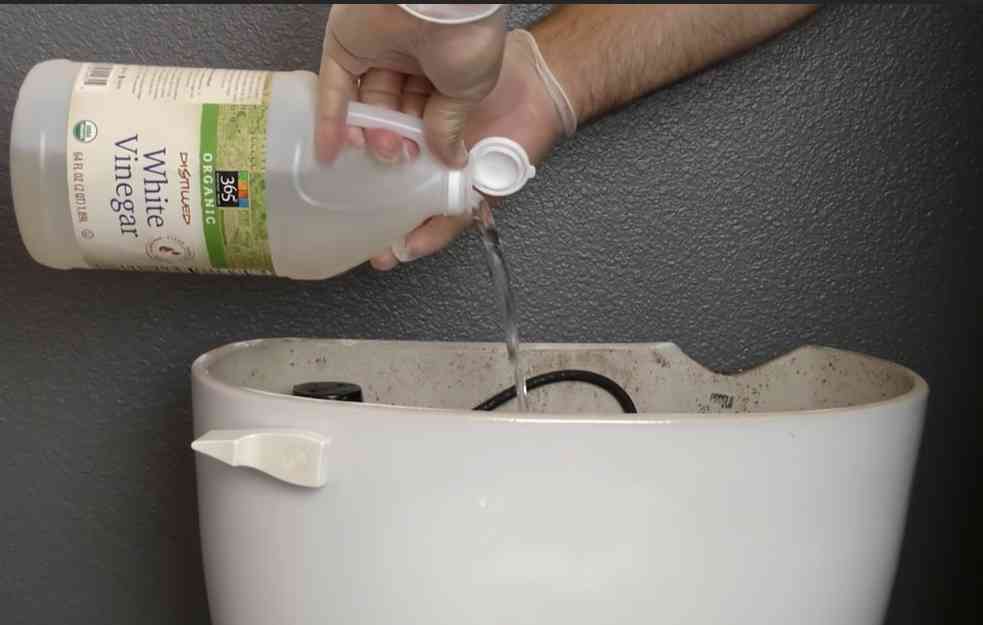 Sipao je sirće u vodokotlić, rezultat je FANTASTIČAN i još 7 genijalnih trikova za čišćenje vašeg kupatila (VIDEO)
