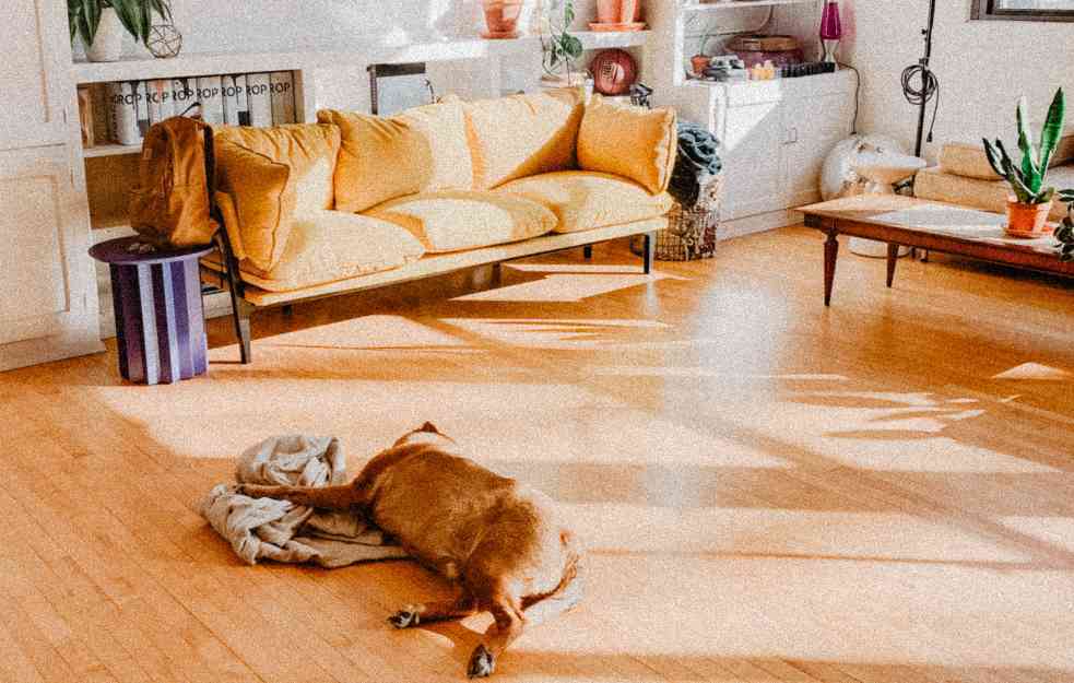 Pet najčešćih zabluda o podovima od laminata