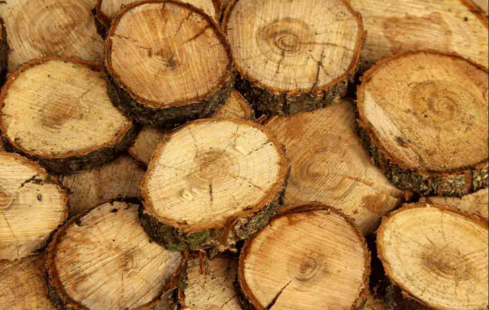 Jagma za ogrevom – cena drva udvostručena, a peleta gotovo da nema