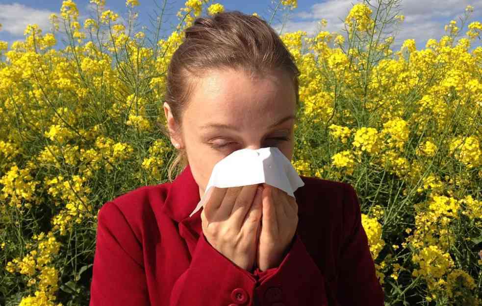 SVE MANJE POLENA U SRBIJI: Alergični na polene mogu da odahnu