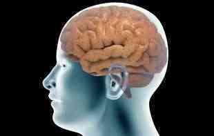 PSIHOZA I NJENE KARAKTERISTIKE : Kako ova bolest menja rad mozga 