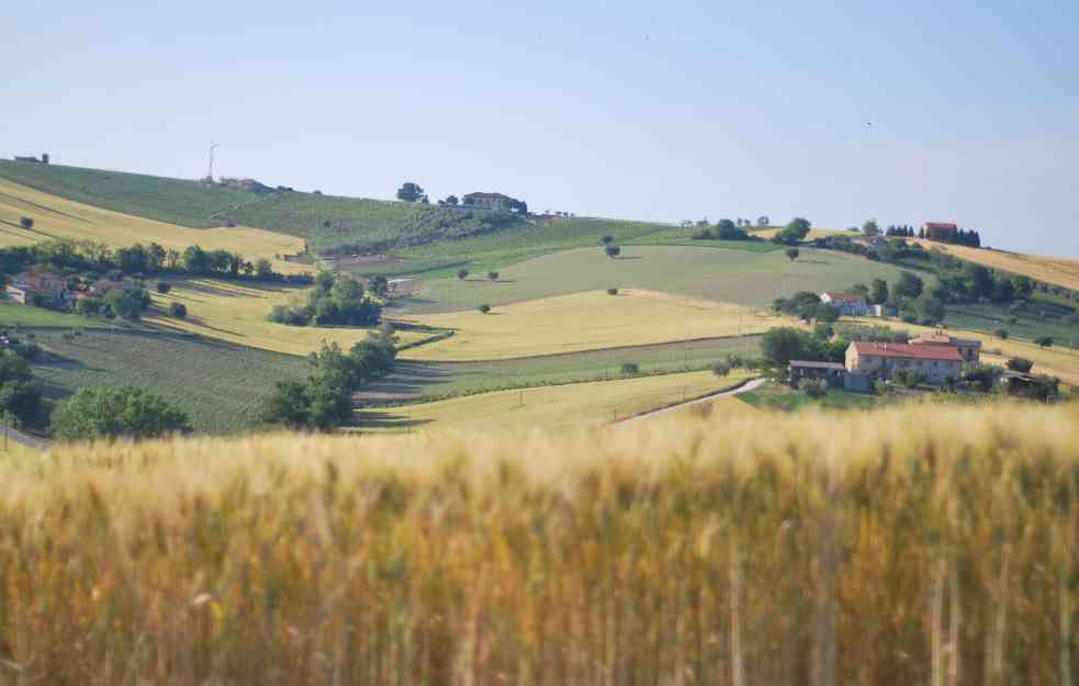Srbija zarađuje 1.200 evra po hektaru, a mogla bi i 10 puta više 