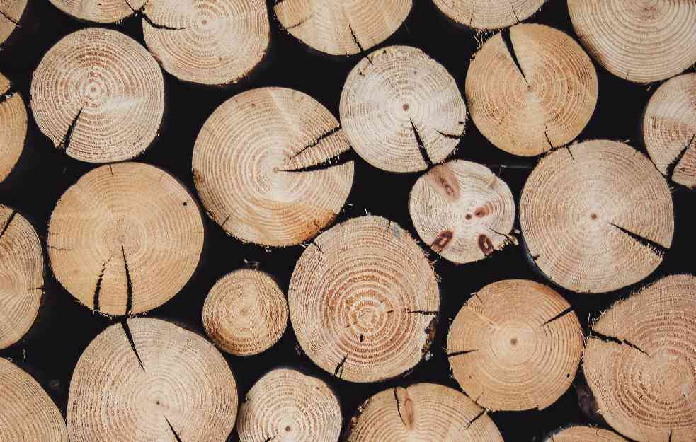 STISLA KRIZA: Nemci sve više koriste drva za grejanje kuća