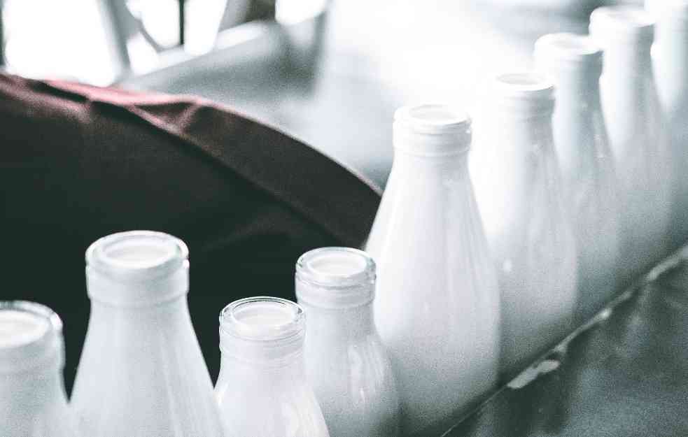 Farmeri se i dalje muče sa nivoom aflatoksina u mleku, kako da se usklade sa evropskim standardom