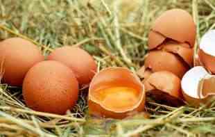 NIJE IM JELO JEDINA NAMENA: Za šta sve možete da iskoristite jaja – a da nije za jelo