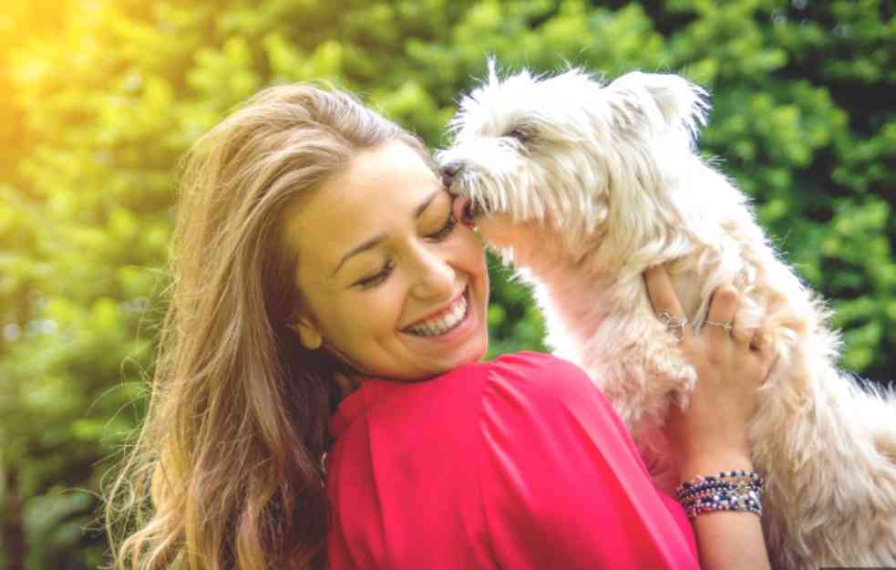 printscreen/ petmagazin.rs